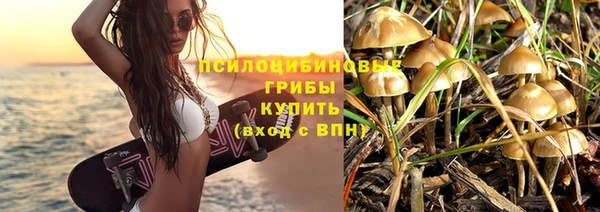 бутират Алексин