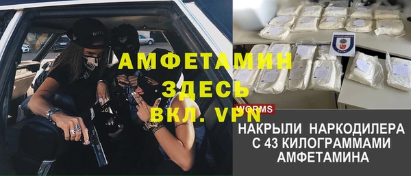 сатива Алексеевка