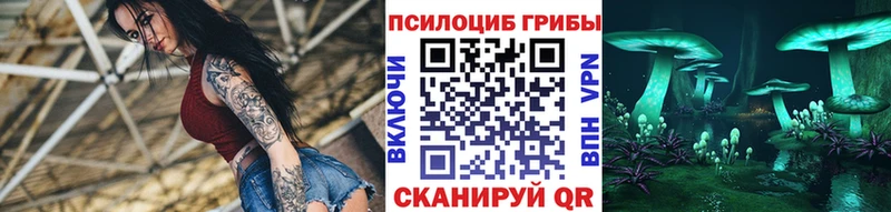 Псилоцибиновые грибы Magic Shrooms  Элиста 